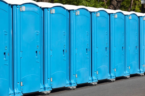 Types of Portable Toilets We Offer in Brice Prairie, WI